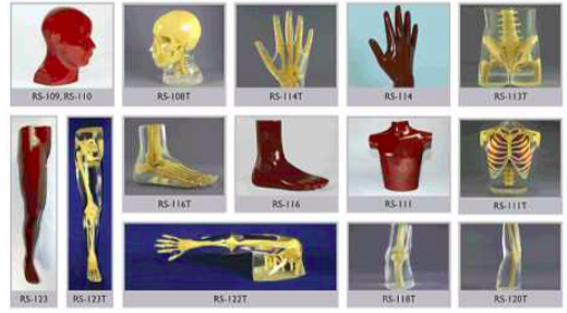 Full Body System
